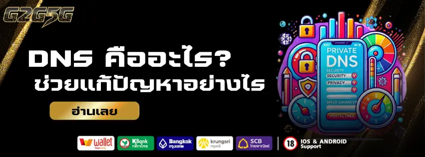 DNS คืออะไร ช่วยแก้ไขปัญหาเข้า G2G5G ไม่ได้อย่างไร?